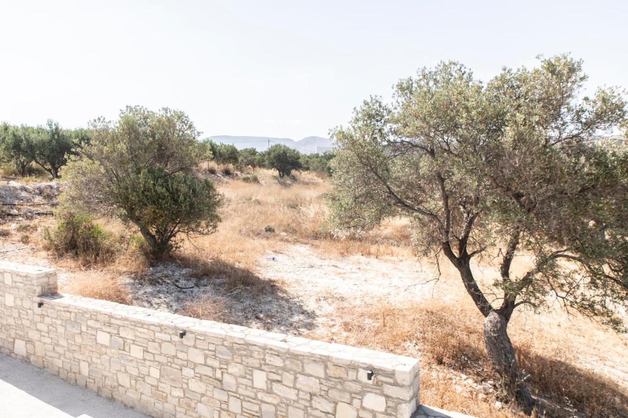 פיטסידיה Aeonios Luxury Villa מראה חיצוני תמונה